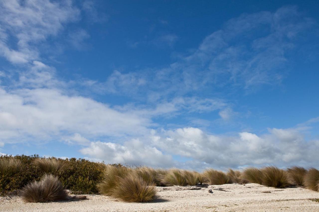 Vila Pearl Hawley Beach Port Sorell Exteriér fotografie